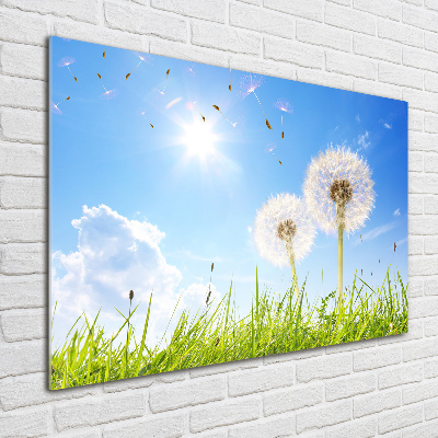 Acrylic wall art dandelions