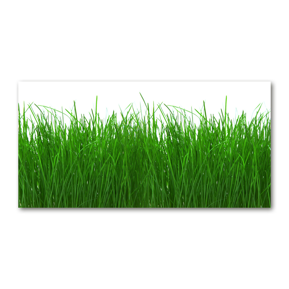 Wall art acrylic Grass