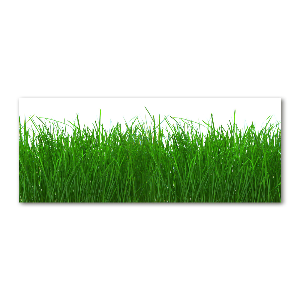 Wall art acrylic Grass