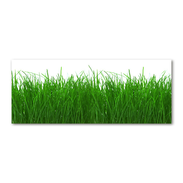 Wall art acrylic Grass