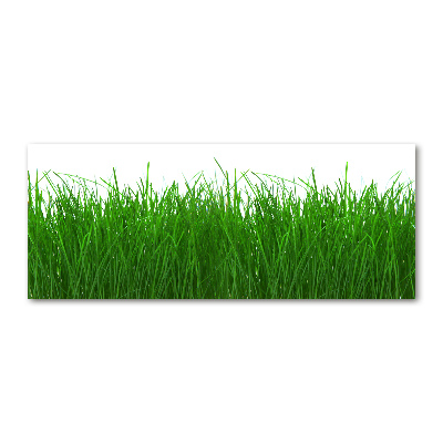 Wall art acrylic Grass