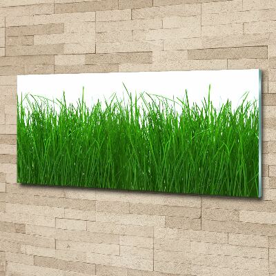 Wall art acrylic Grass