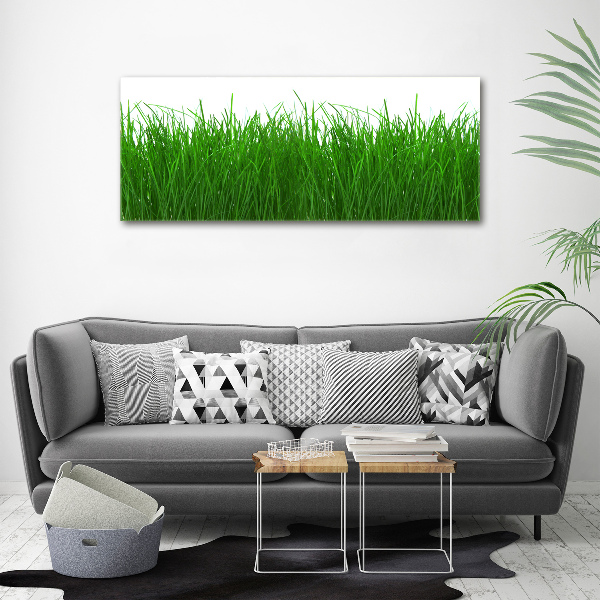 Wall art acrylic Grass