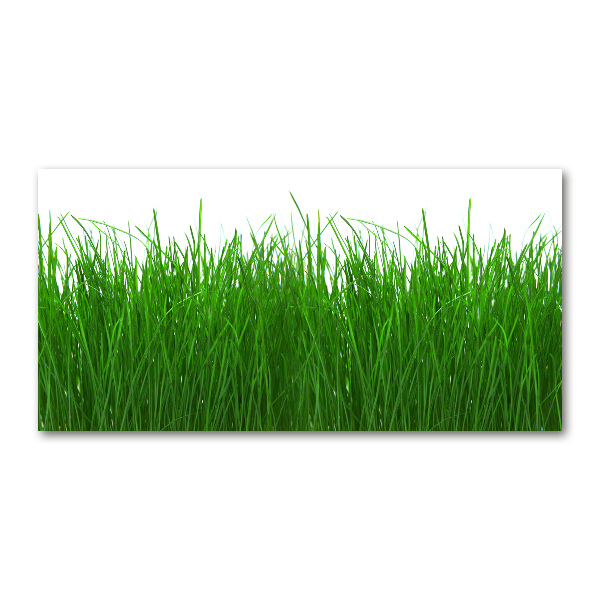 Wall art acrylic Grass