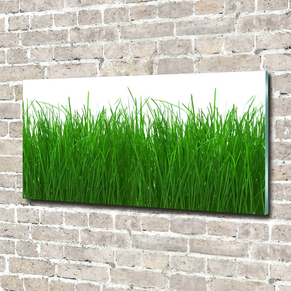 Wall art acrylic Grass