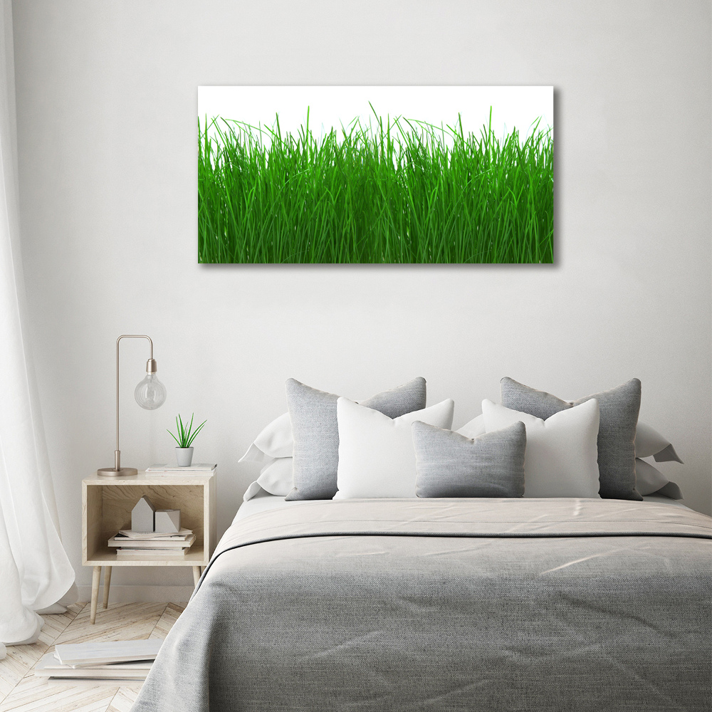 Wall art acrylic Grass