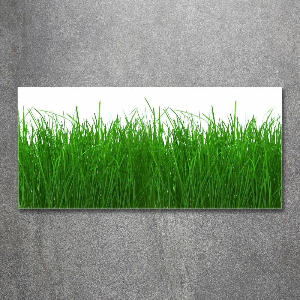 Wall art acrylic Grass