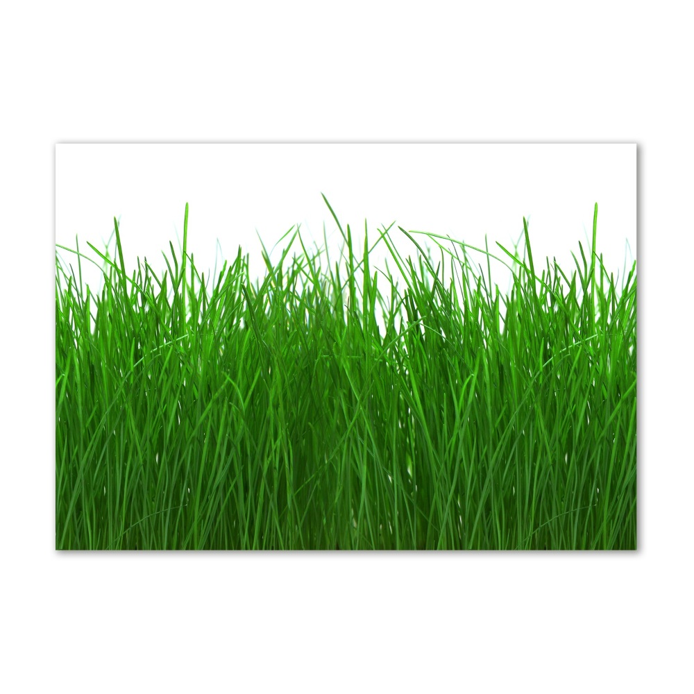 Wall art acrylic Grass