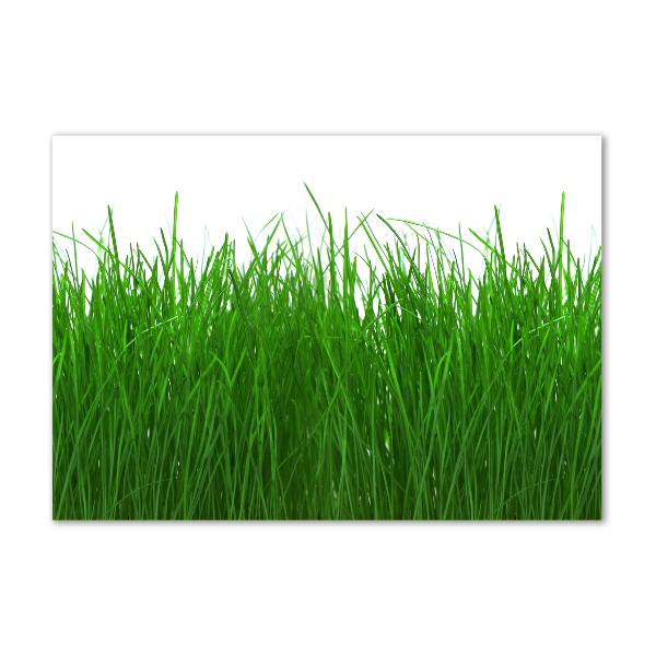 Wall art acrylic Grass