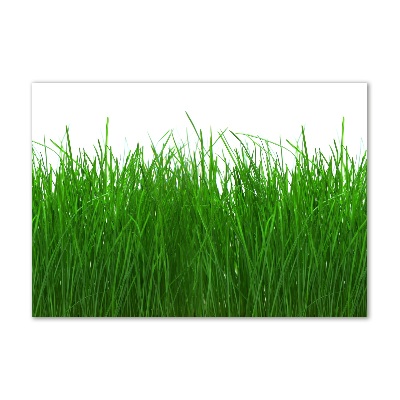 Wall art acrylic Grass