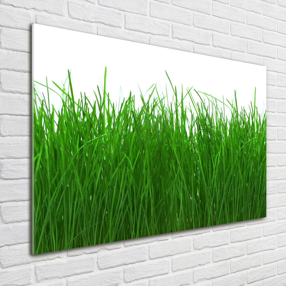 Wall art acrylic Grass