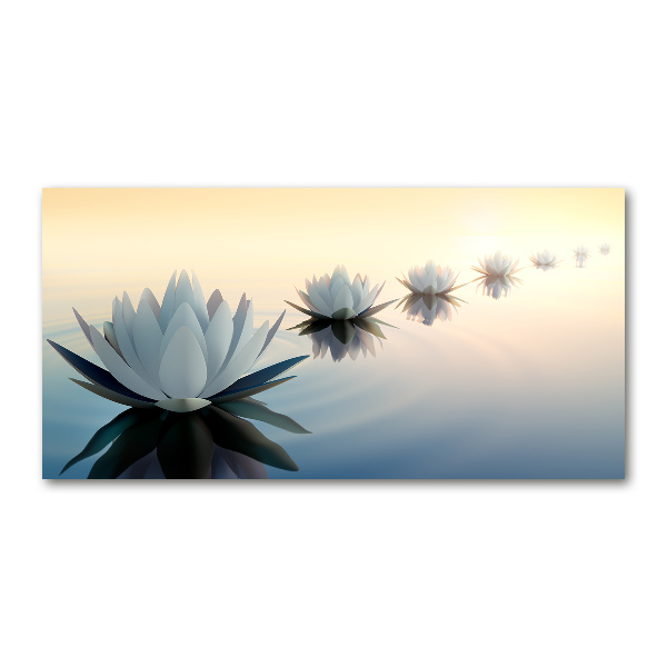 Acrylic wall art Lotos flowers