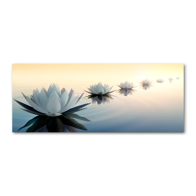 Acrylic wall art Lotos flowers