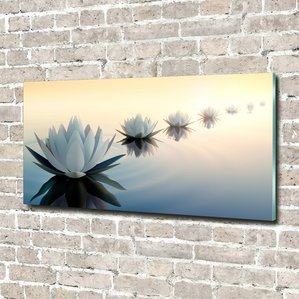 Acrylic wall art Lotos flowers