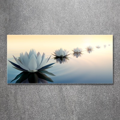 Acrylic wall art Lotos flowers