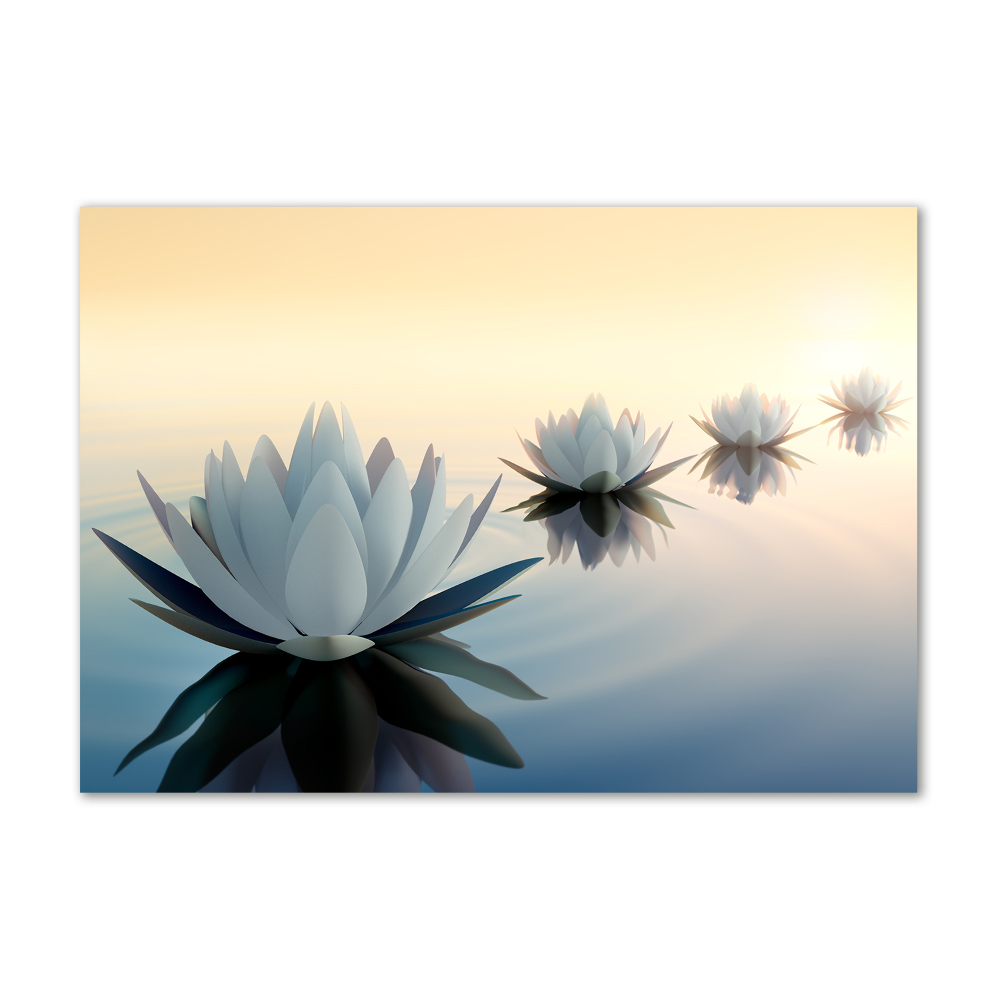 Acrylic wall art Lotos flowers