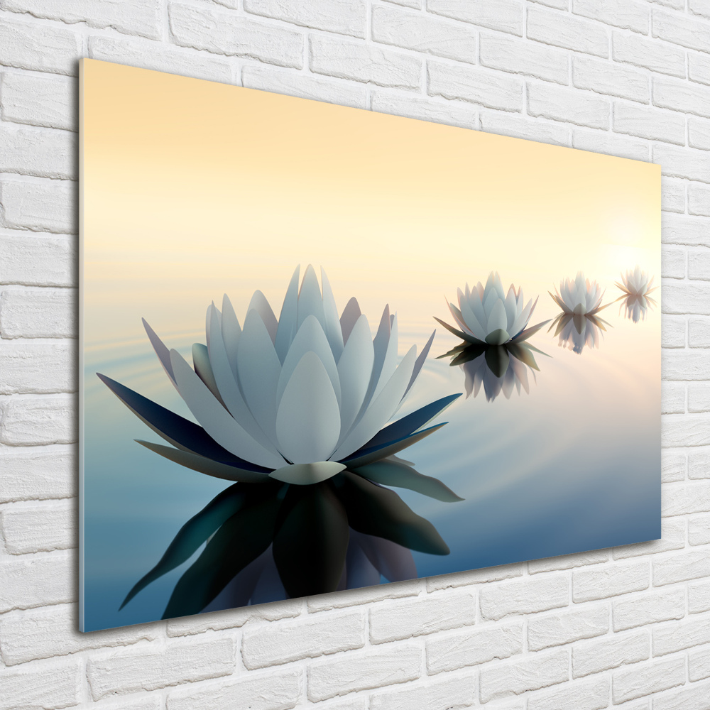 Acrylic wall art Lotos flowers