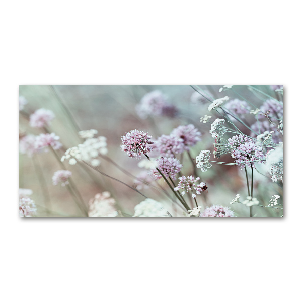 Print on acrylic Wild flowers