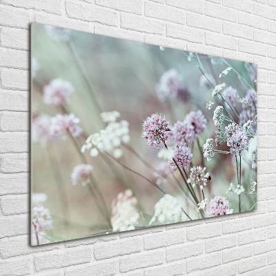 Print on acrylic Wild flowers