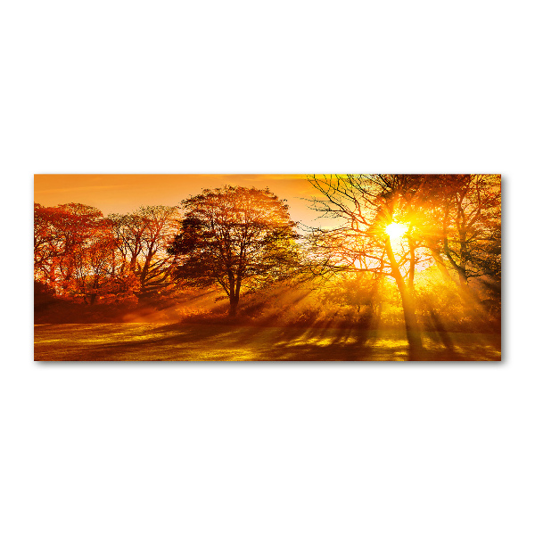 Acrylic print Sunset