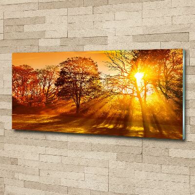 Acrylic print Sunset