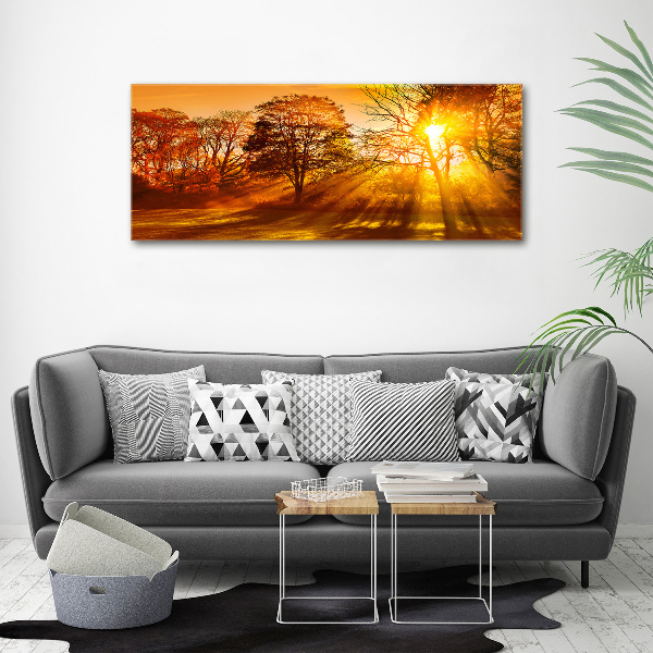 Acrylic print Sunset