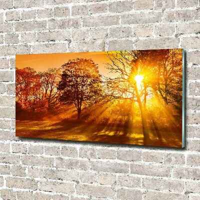 Acrylic print Sunset