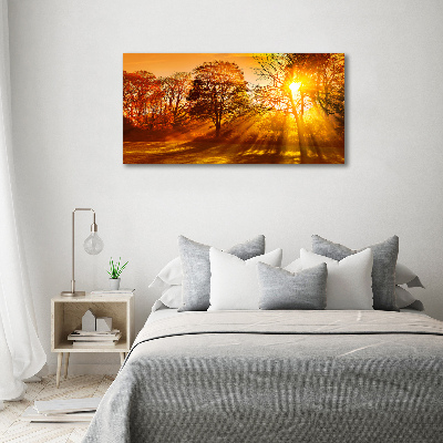 Acrylic print Sunset