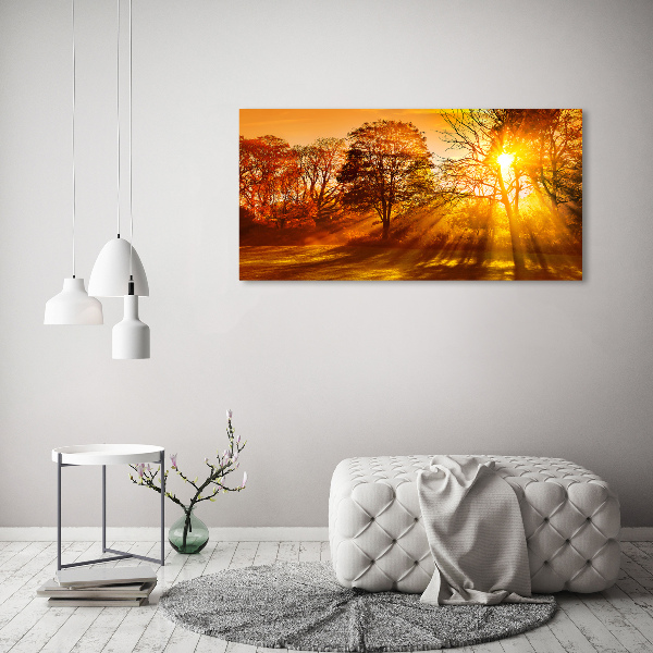 Acrylic print Sunset