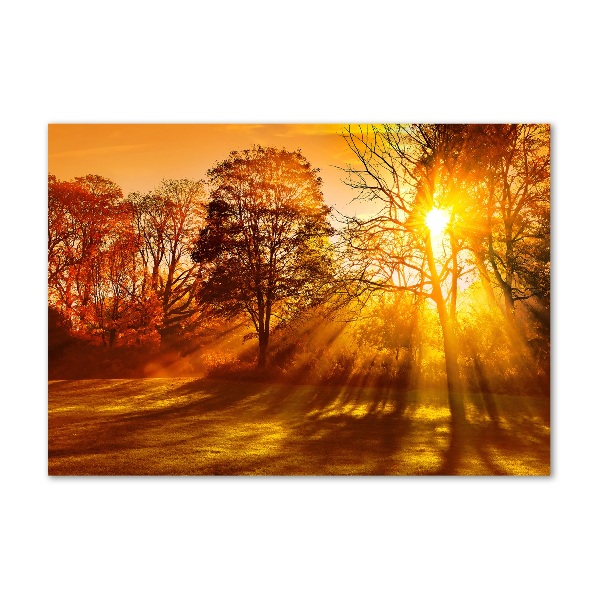 Acrylic print Sunset