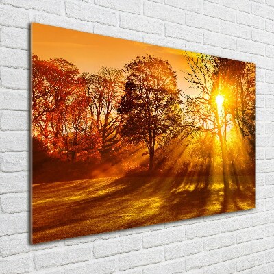 Acrylic print Sunset