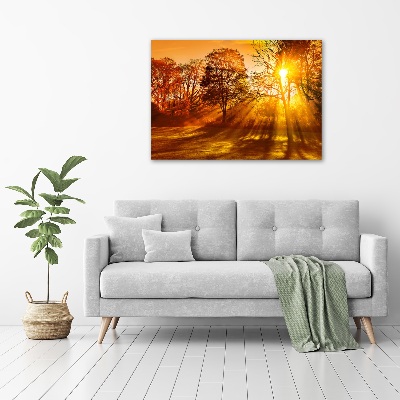 Acrylic print Sunset