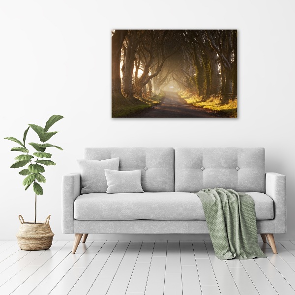 Print on acrylic Fog in the forest