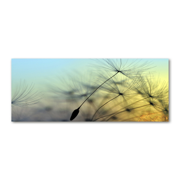 Wall art acrylic Dandelion seeds