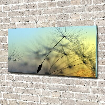 Wall art acrylic Dandelion seeds