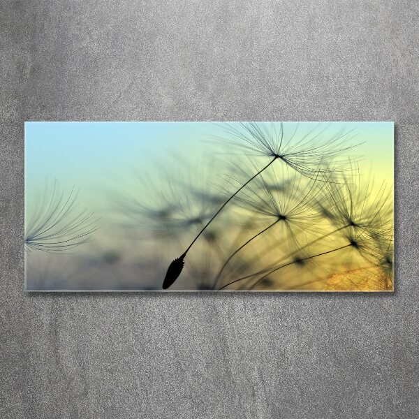 Wall art acrylic Dandelion seeds