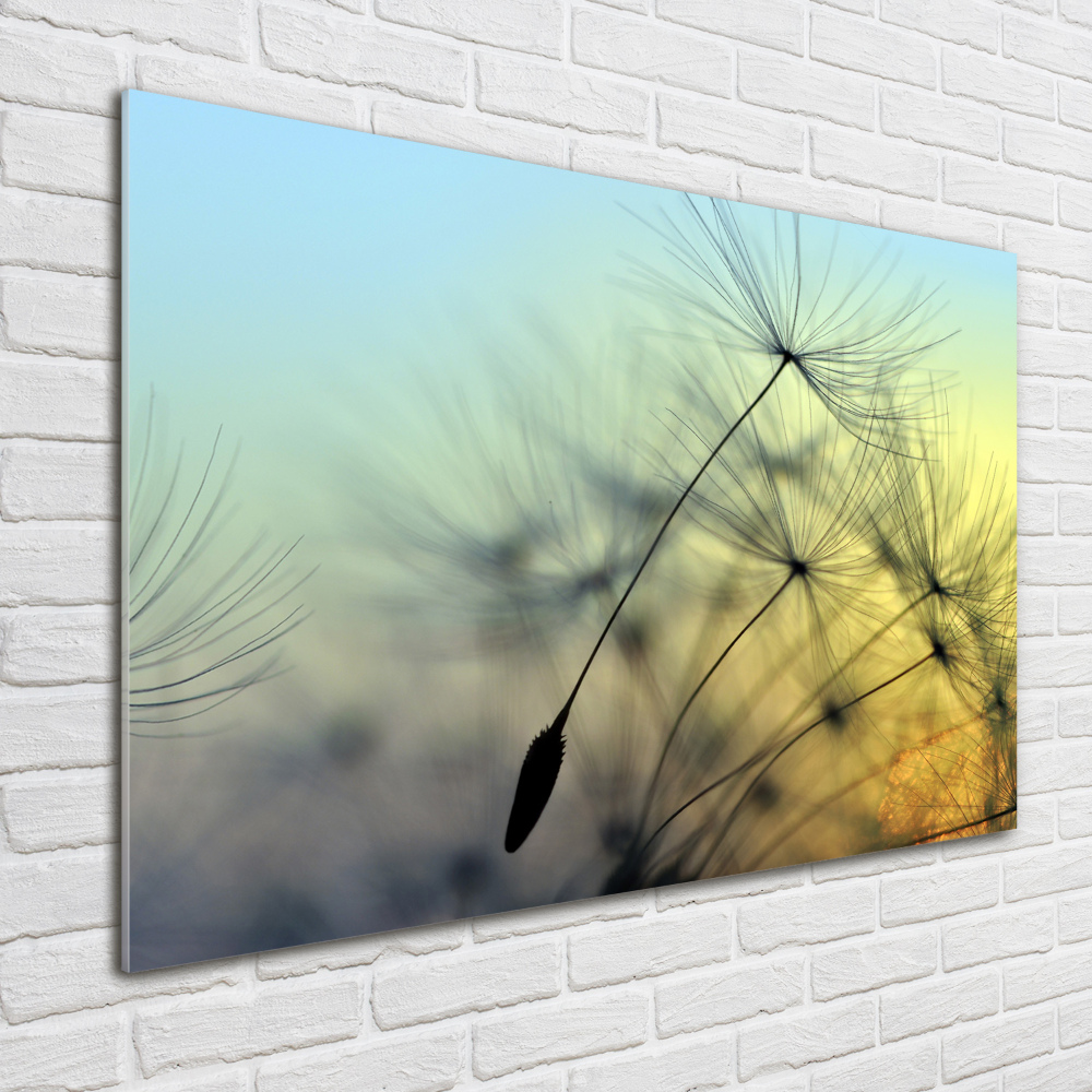 Wall art acrylic Dandelion seeds