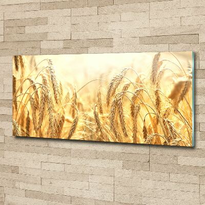 Wall art acrylic Cereal