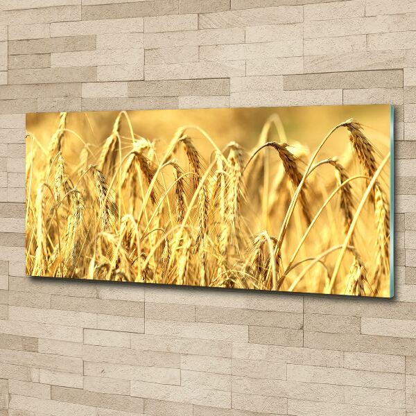 Wall art acrylic Cereal