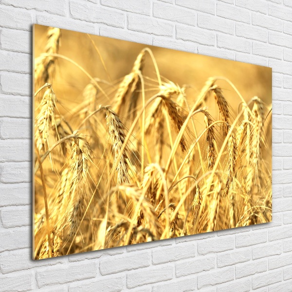 Wall art acrylic Cereal