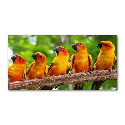 Print on acrylic Parrots on a branch