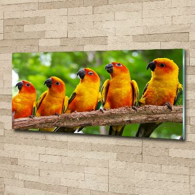 Print on acrylic Parrots on a branch