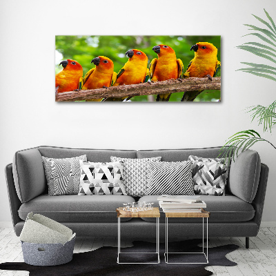 Print on acrylic Parrots on a branch