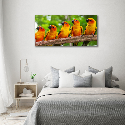 Print on acrylic Parrots on a branch