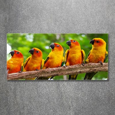 Print on acrylic Parrots on a branch