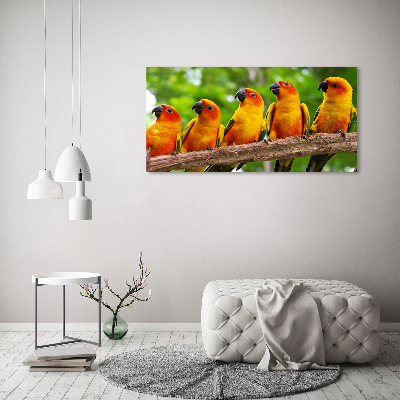 Print on acrylic Parrots on a branch