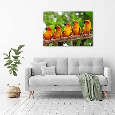 Print on acrylic Parrots on a branch