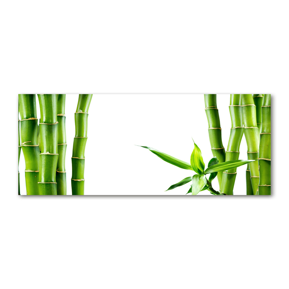 Acrylic wall art Bamboo