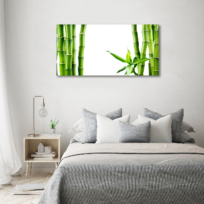 Acrylic wall art Bamboo