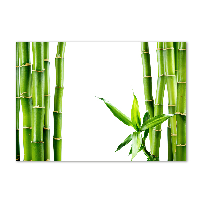 Acrylic wall art Bamboo